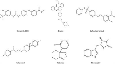 Perspectives and mechanisms for targeting ferroptosis in the treatment of hepatocellular carcinoma